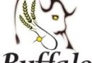 Buffalo Potash Announces Preliminary Economic Assessment for Disley Project with After-Tax NPV of US$1.1B and IRR of 30%; Releases Results from Maiden 43-101 Mineral Resource Estimate